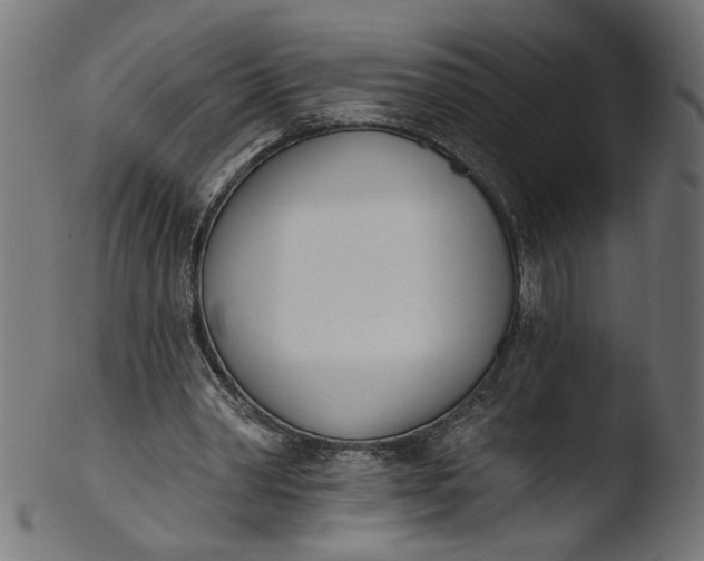 X0000103400390200809261625