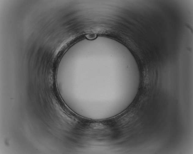 X0000103400392200809261625