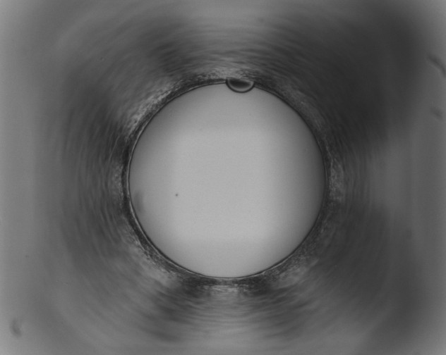 X0000103400394200809261624