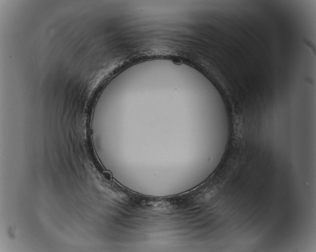 X0000103400395200809261624