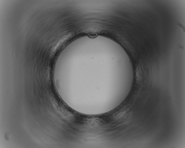 X0000103400396200809261624