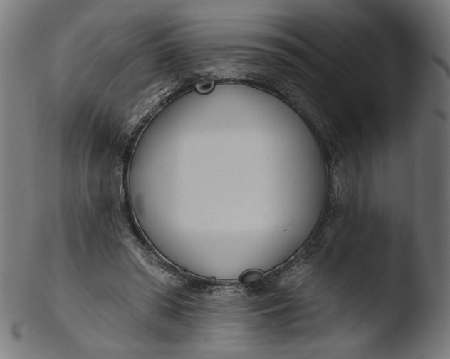 X0000103400398200809261624