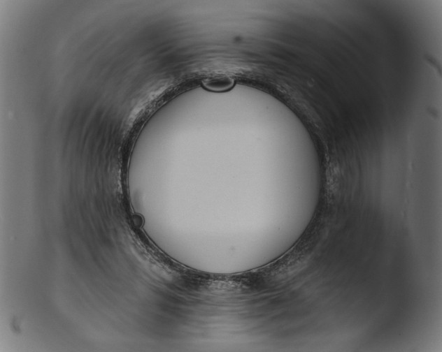 X0000103400399200809261624