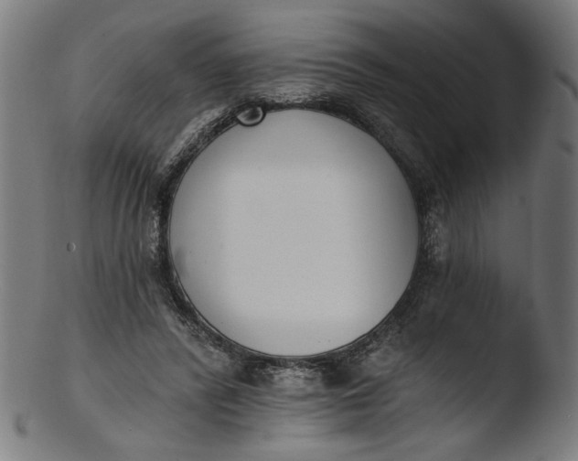 X0000103400400200809261624