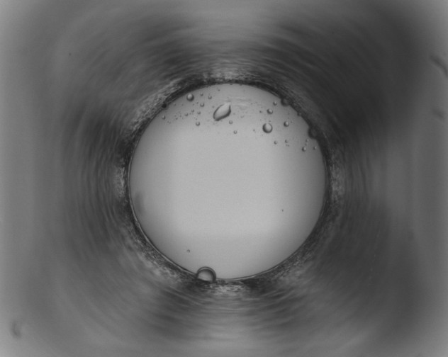 X0000103400401200809261624