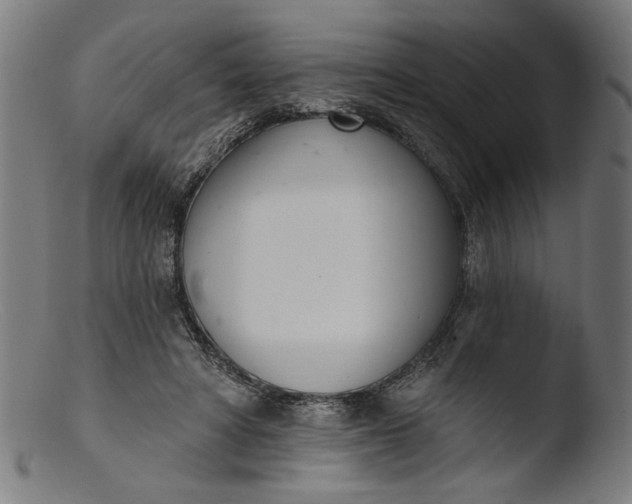 X0000103400402200809261624