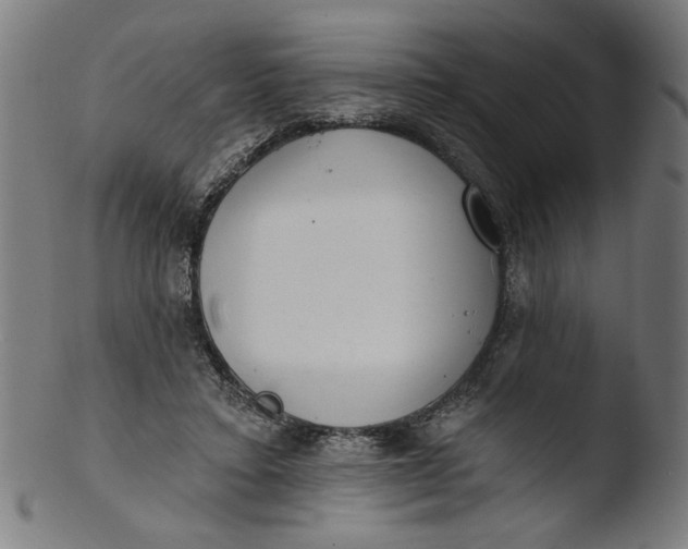 X0000103400403200809261624