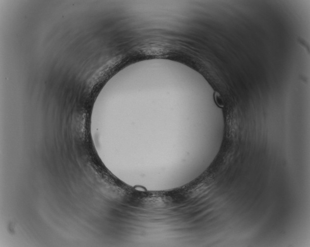 X0000103400404200809261624