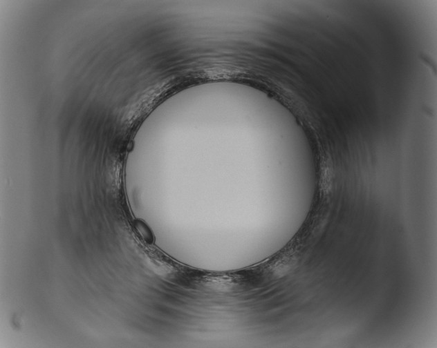 X0000103400405200809261624