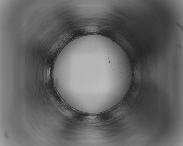 X0000103400406200809261624