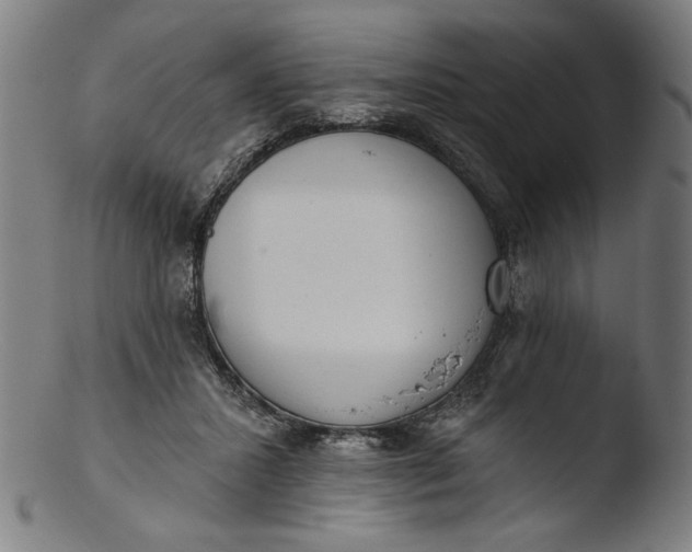 X0000103400407200809261624