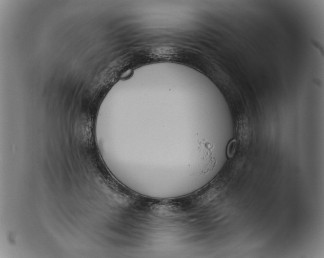 X0000103400408200809261624