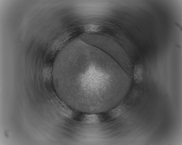 X0000103400409200809261624