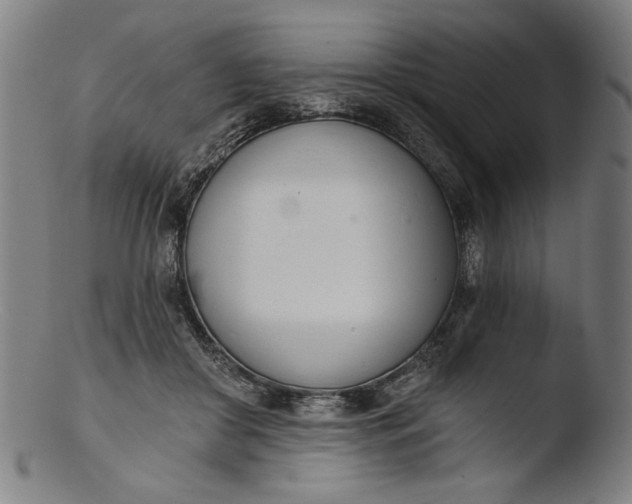 X0000103400410200809261624