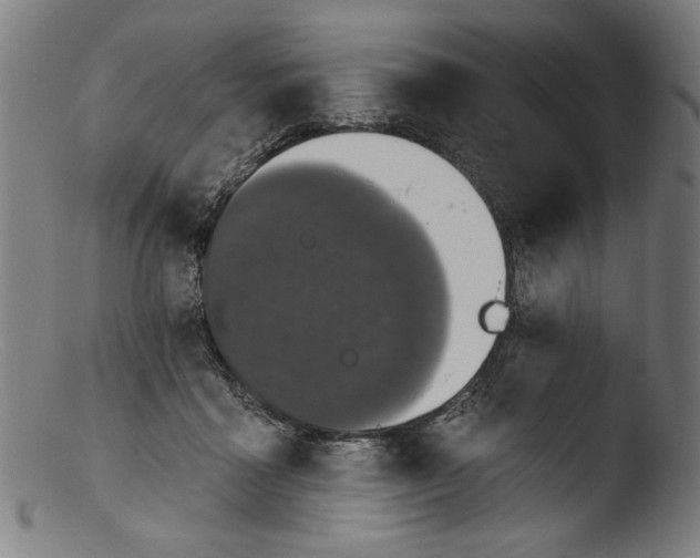 X0000103400411200809261624