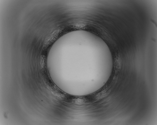 X0000103400412200809261624