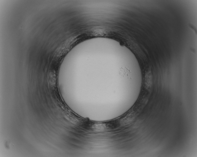 X0000103400413200809261624