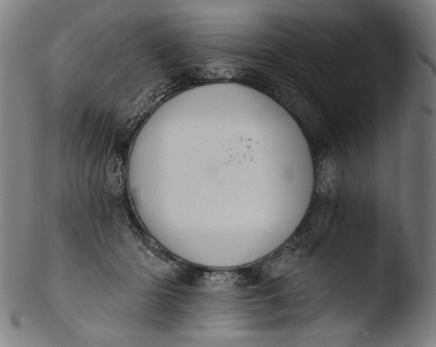 X0000103400414200809261624