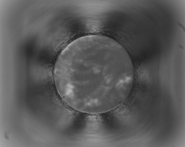 X0000103400415200809261624