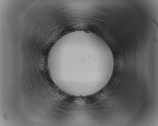 X0000103400416200809261624