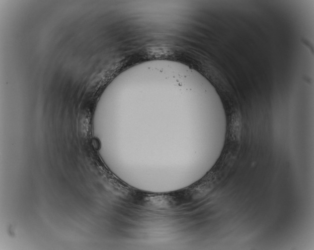 X0000103400417200809261624