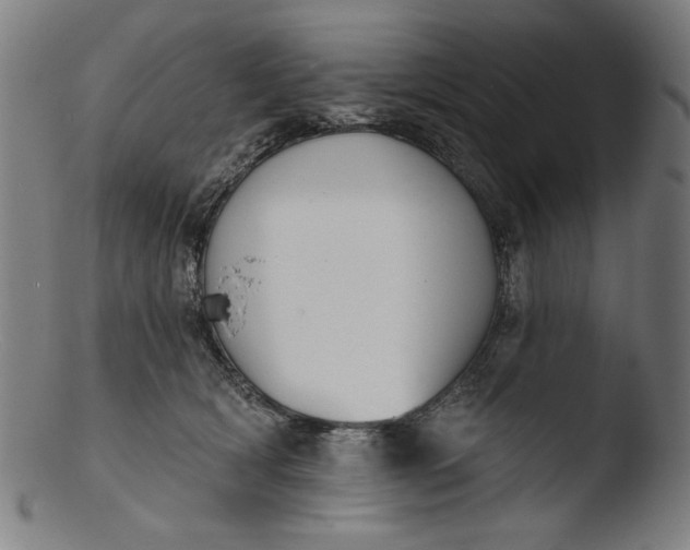 X0000103400418200809261624