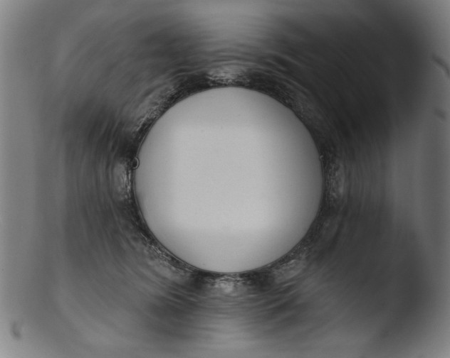 X0000103400420200809261624