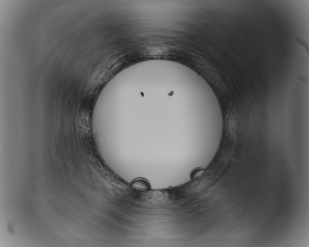 X0000103400421200809261624