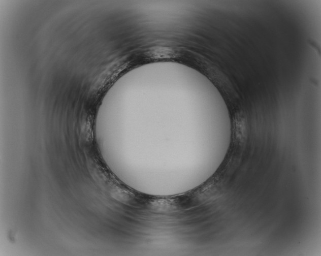 X0000103400422200809261624