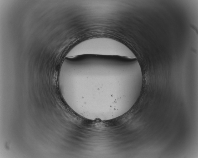 X0000103400423200809261624