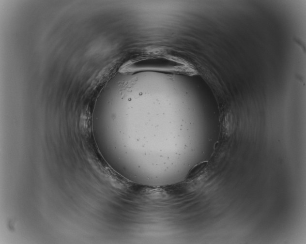 X0000103400424200809261624