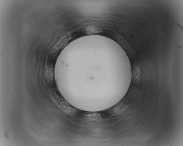 X0000103400426200809261624