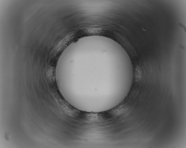 X0000103400428200809261624