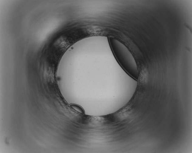 X0000103400429200809261624