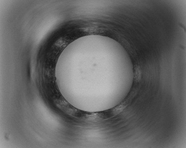 X0000103400430200809261624