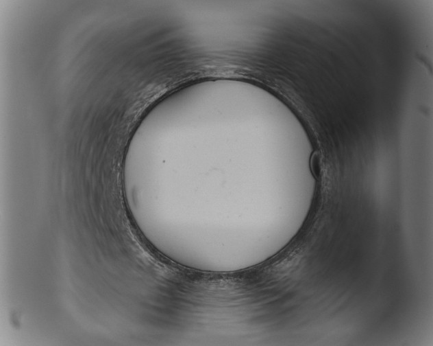 X0000103400433200809261623