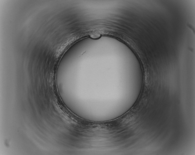 X0000103400434200809261623