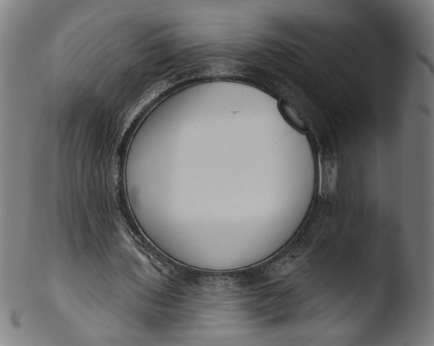 X0000103400435200809261623