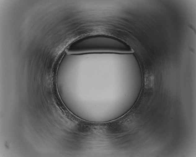 X0000103400436200809261623