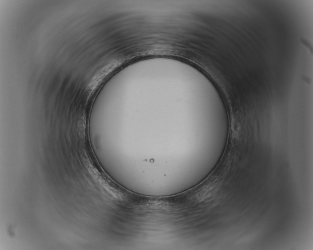 X0000103400437200809261623