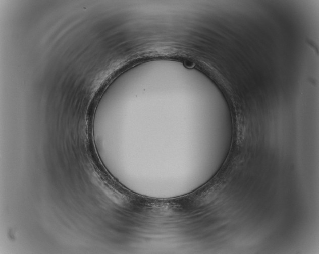 X0000103400439200809261623