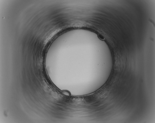 X0000103400440200809261623