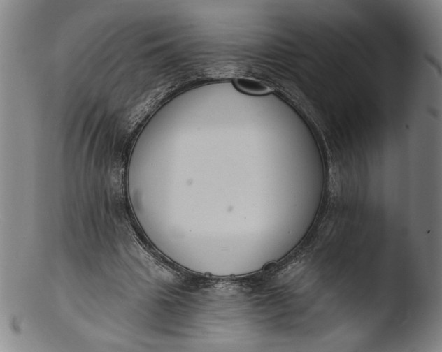 X0000103400441200809261623