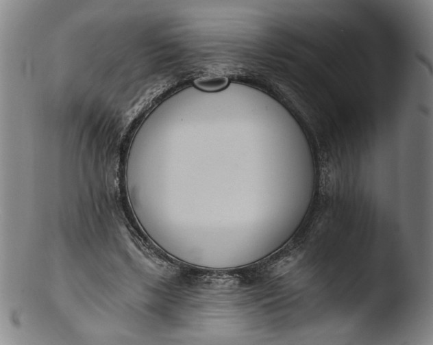 X0000103400443200809261623