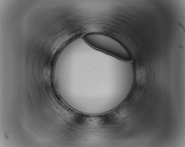 X0000103400444200809261623