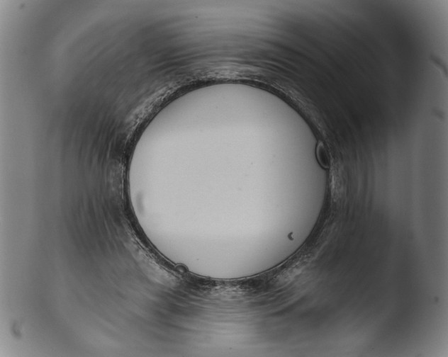 X0000103400445200809261623