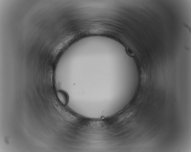 X0000103400446200809261623