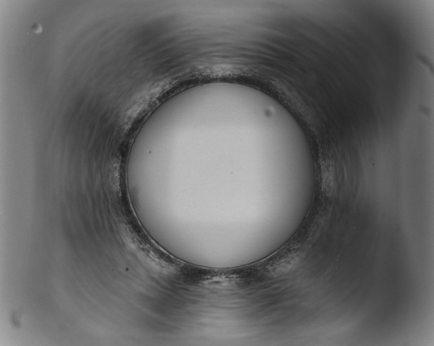 X0000103400447200809261623