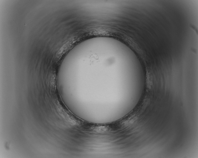 X0000103400449200809261624