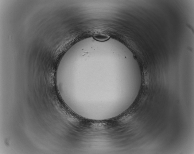 X0000103400450200809261624